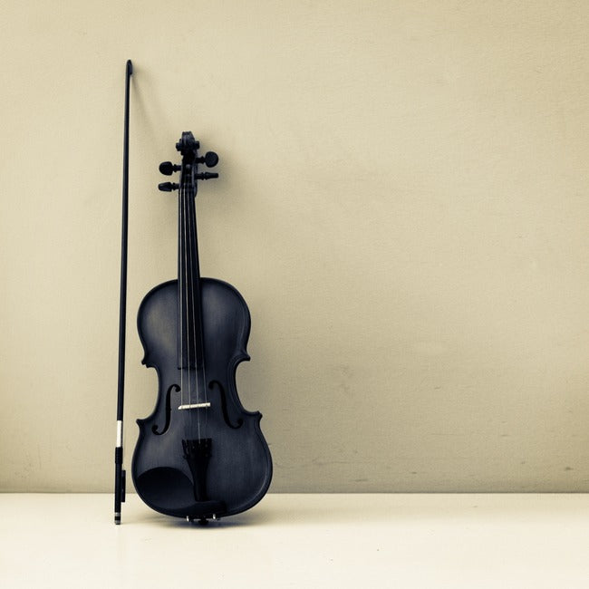 Guide for Violin Care & Maintenance
