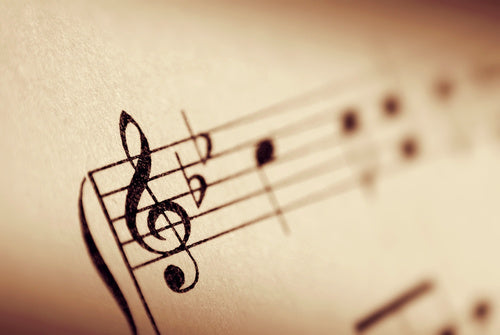 Learn All About Heartbeat, Pulse, Rhythm