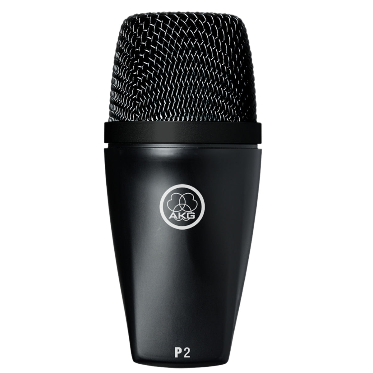 AKG P2 Dynamic Instrument Microphone