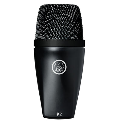 AKG P2 Dynamic Instrument Microphone