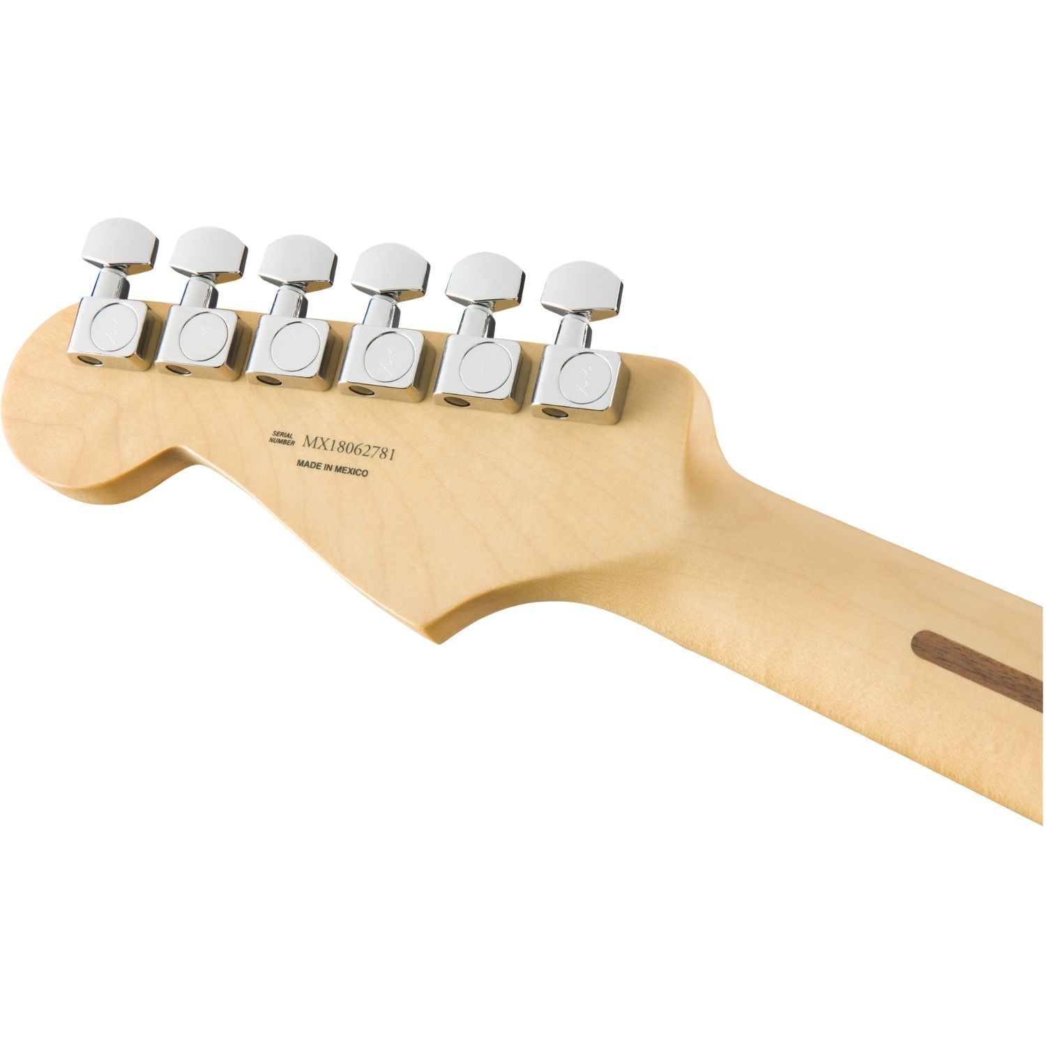 #color_polar-white,fingerboard_maple