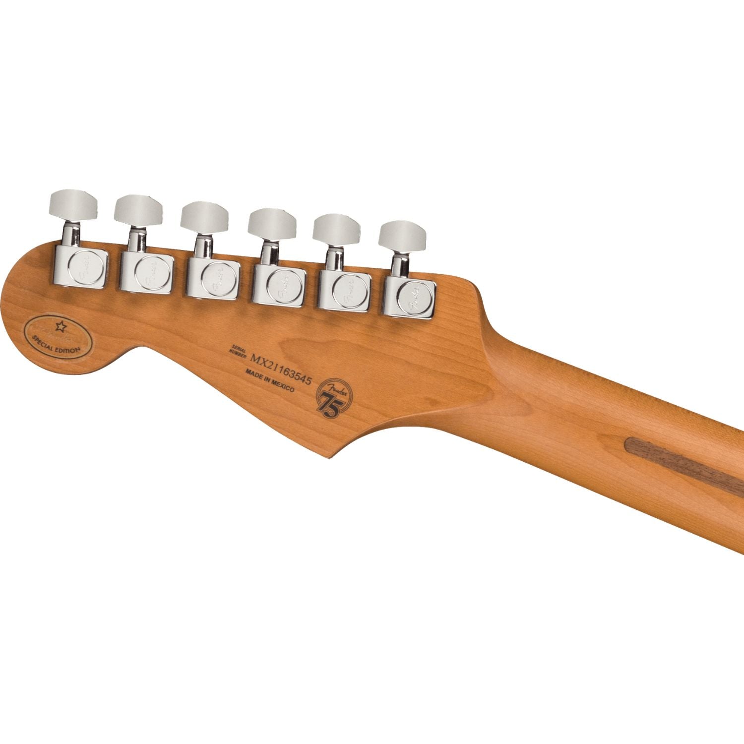 #color_sea-foam-green,fingerboard_roasted-maple