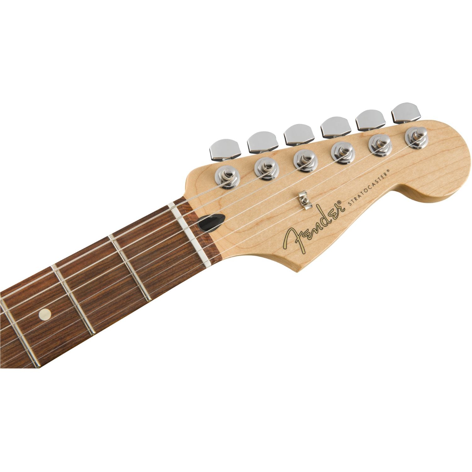 #color_polar-white,fingerboard_pau-ferro