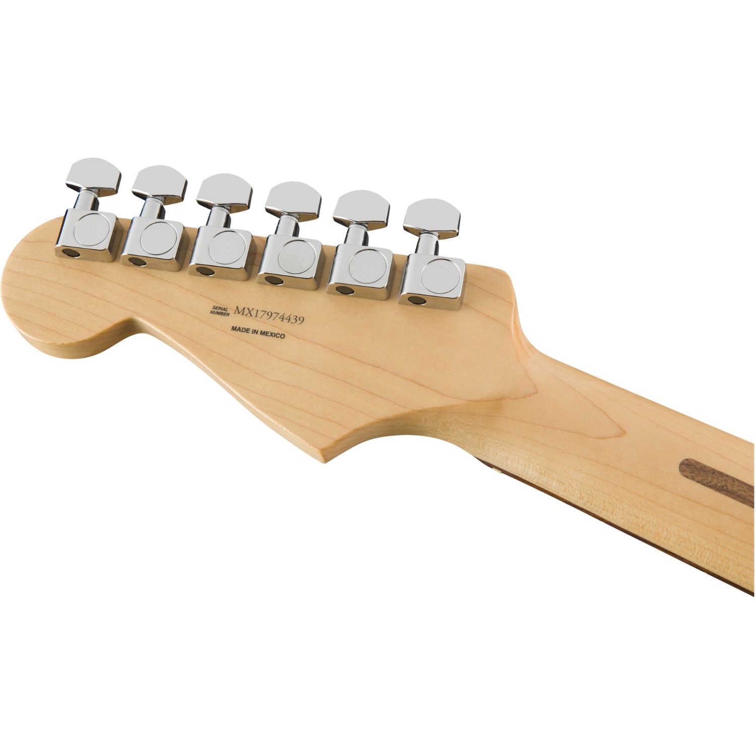 #color_polar-white,fingerboard_pau-ferro