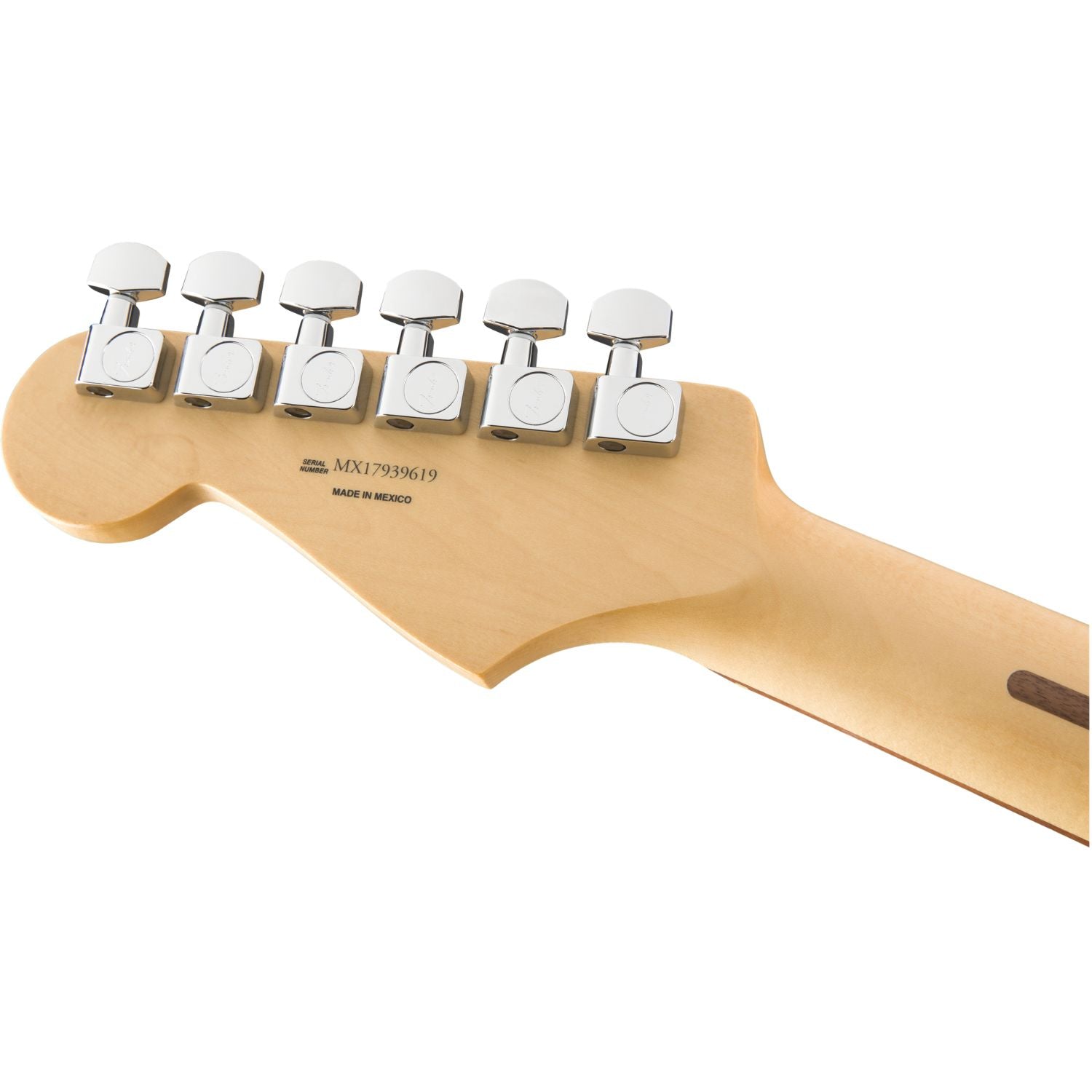 #color_sonic-red,fingerboard_pau-ferro