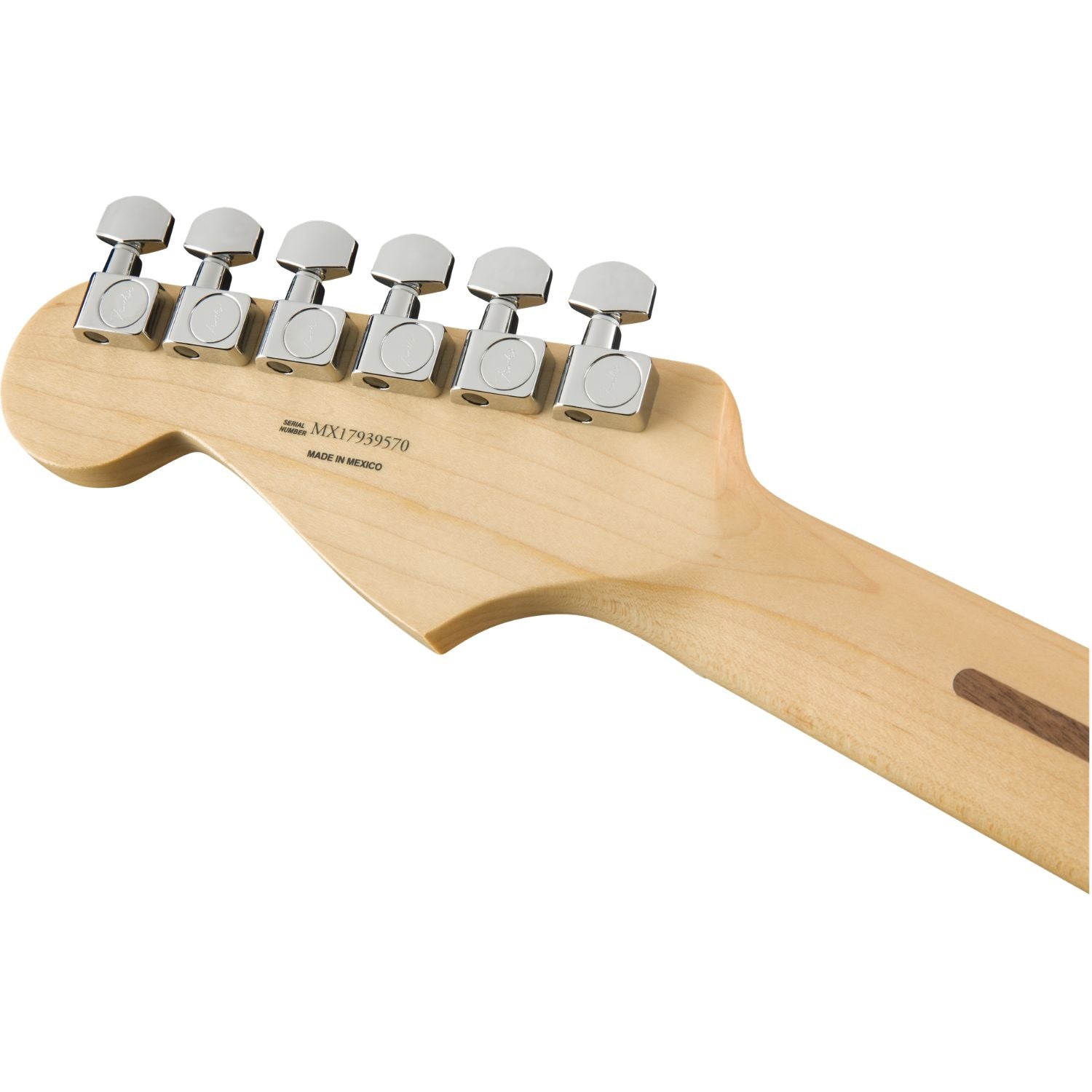 #color_tidepool,fingerboard_maple