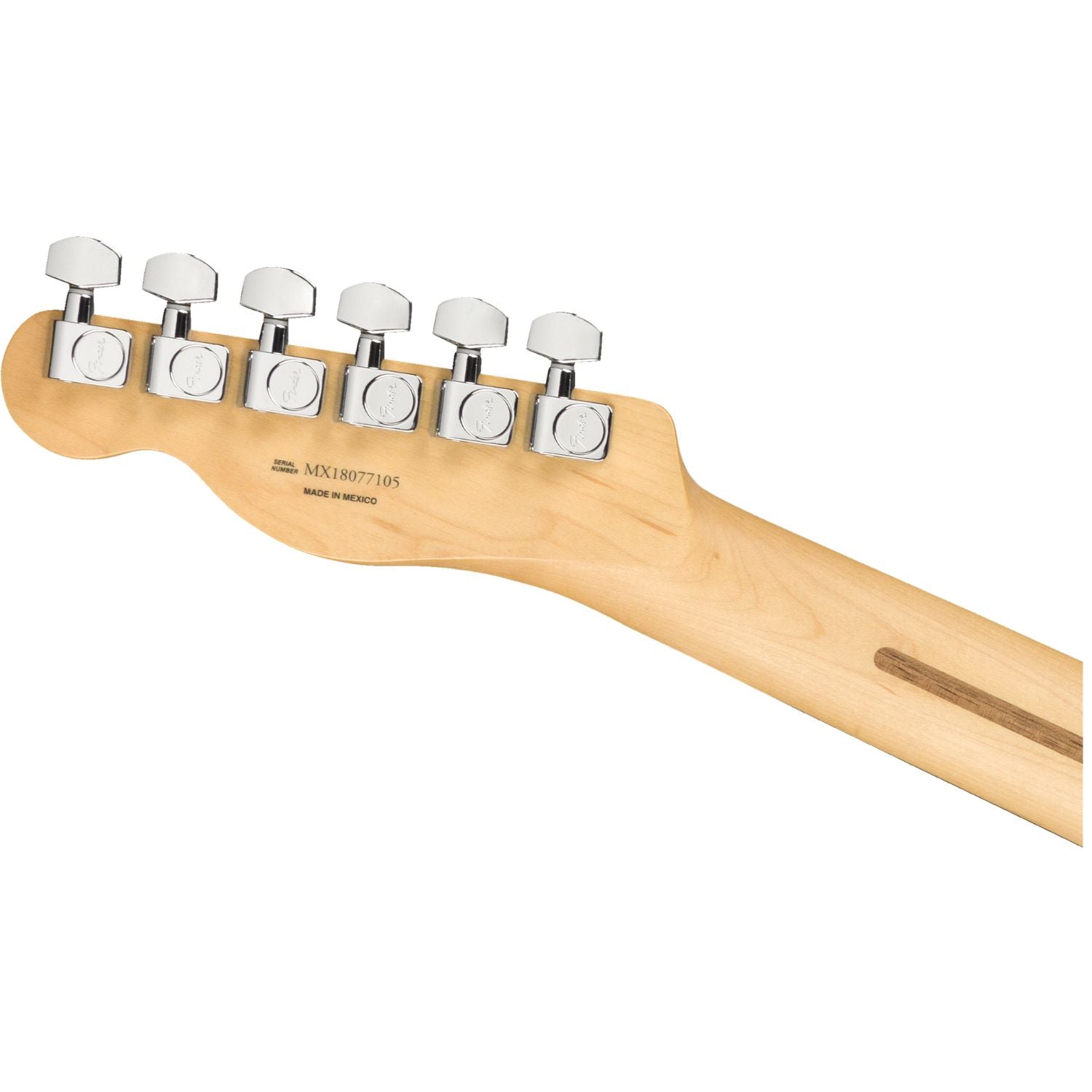 #color_sonic-red,fretboard_pau-ferro