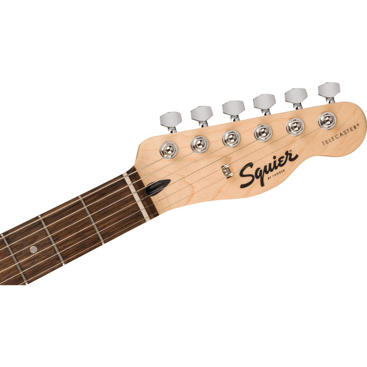 #color_torino-red,fingerboard_indian-laurel,type_pro