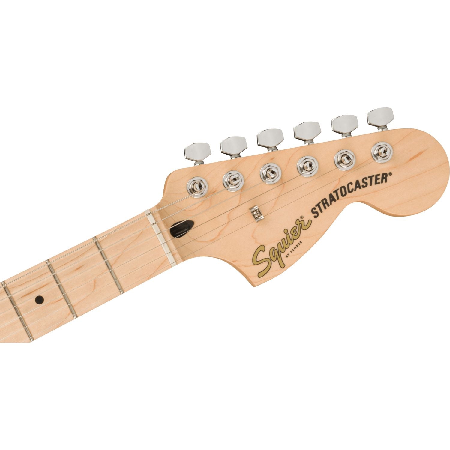 #color_olympic-white,fretboard_maple