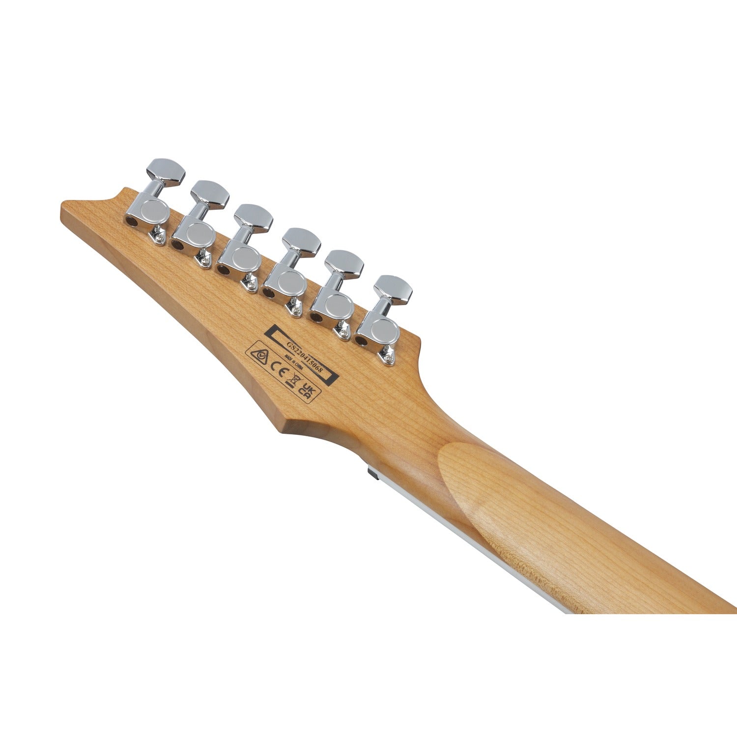 Ibanez GRG220PA1 RG Gio Series 6 String Electric Guitar
