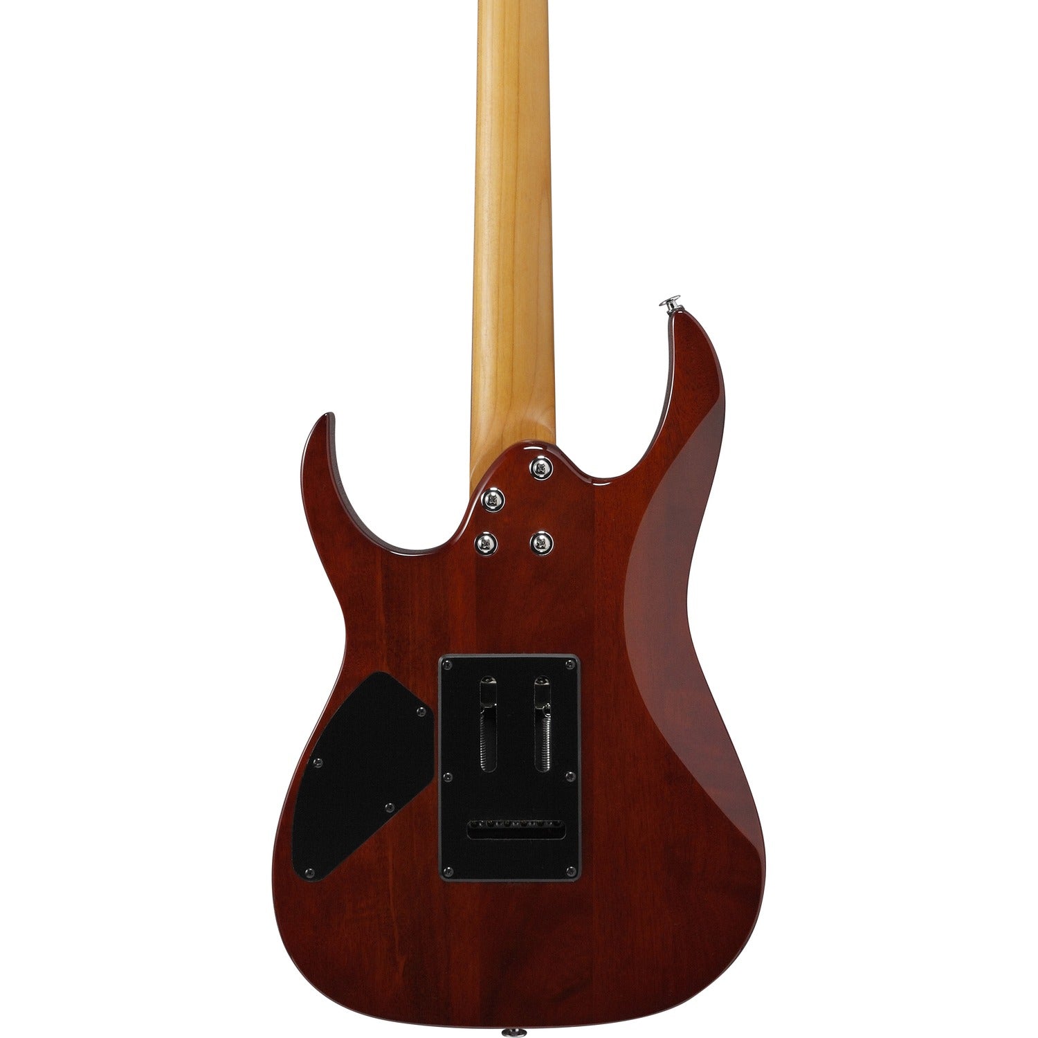 Ibanez GRG220PA1 RG Gio Series 6 String Electric Guitar