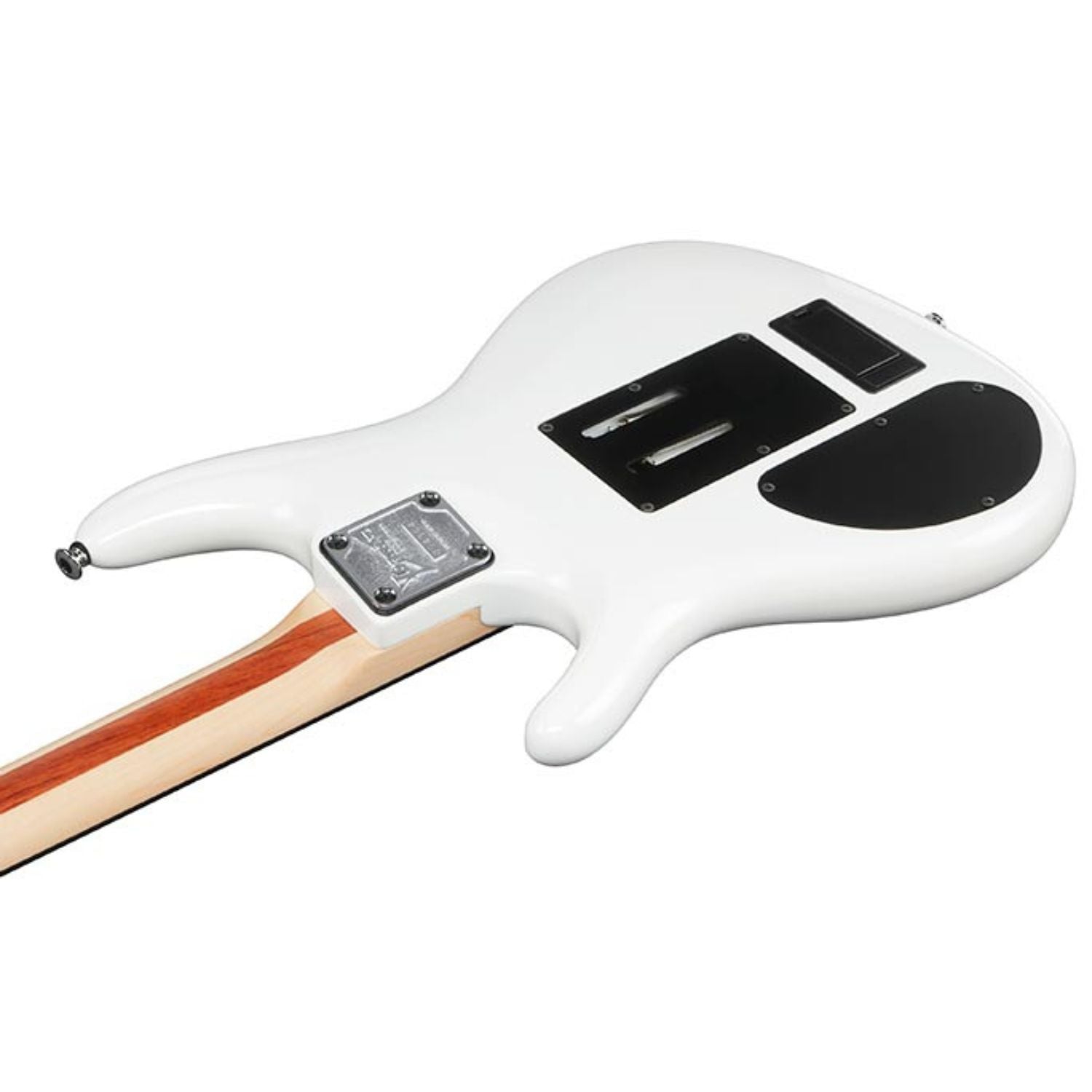 Ibanez JS2480 6 String Electric Guitar with Case