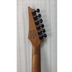 Ibanez RG421HPAM RG Standard 6 String Electric Guitar - Antique Brown Stained Low Gloss - Open Box