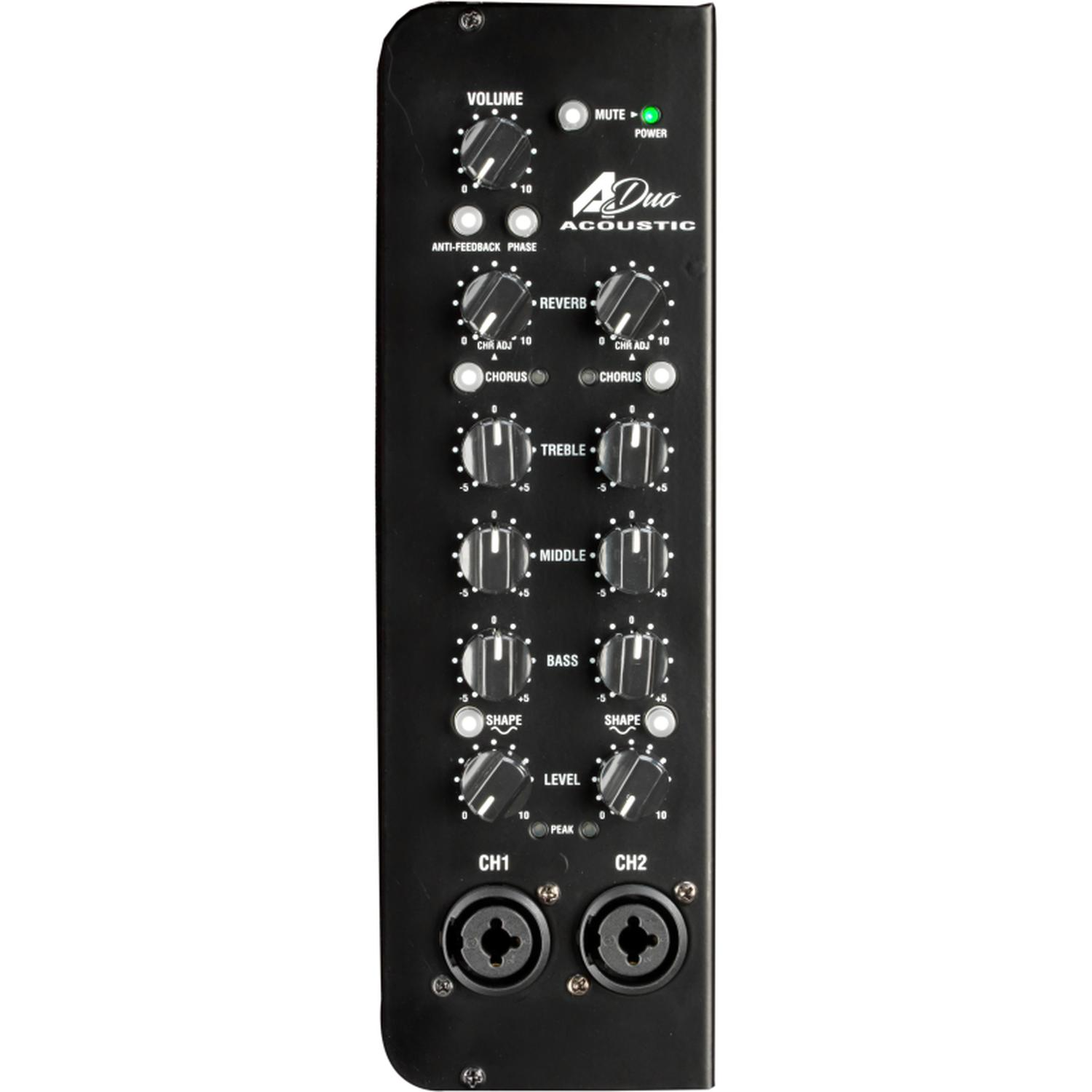 Laney A-DUO Acoustic Combo Guitar Amplifiers