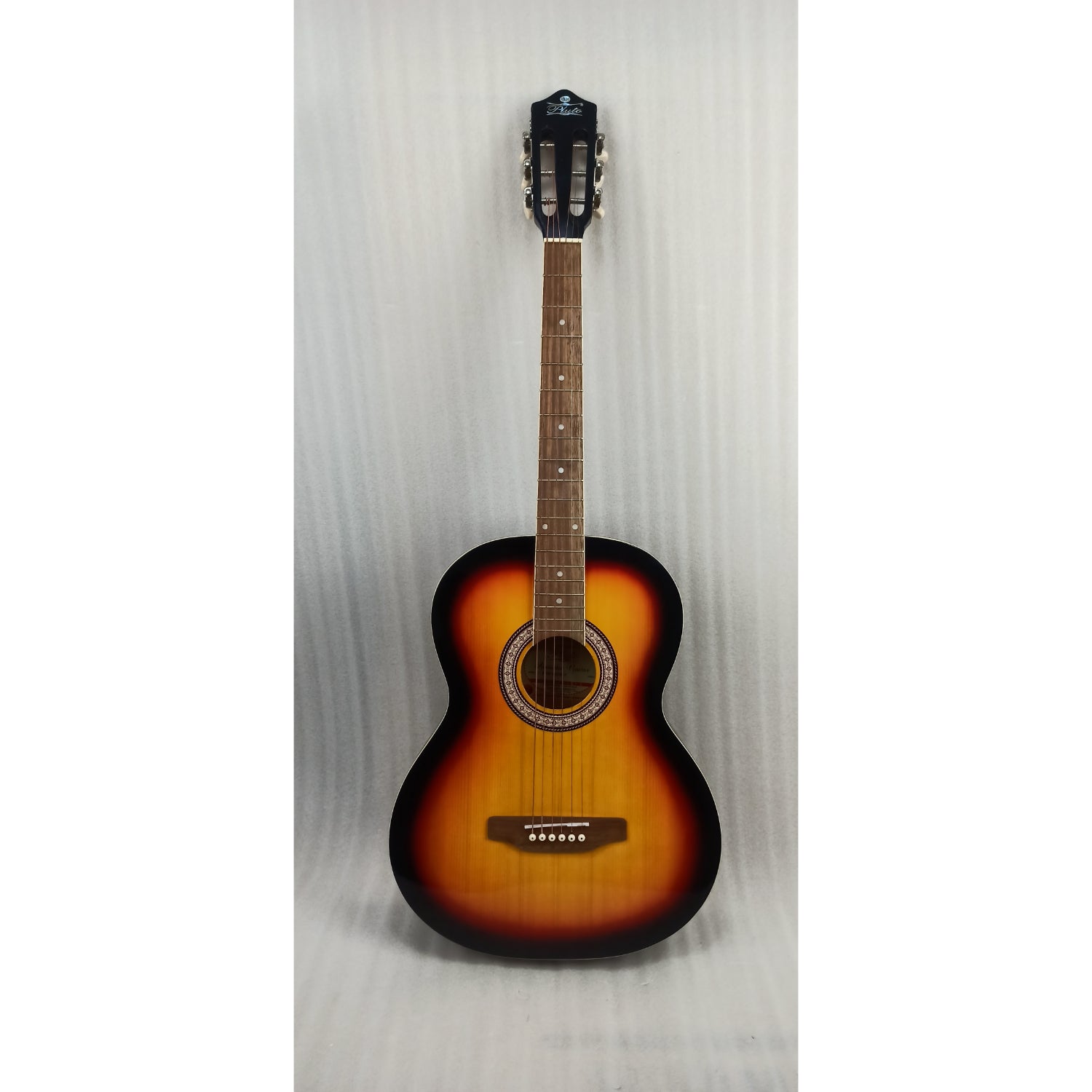 Pluto HW39-201P Electro Acoustic Guitar - Open Box B Stock