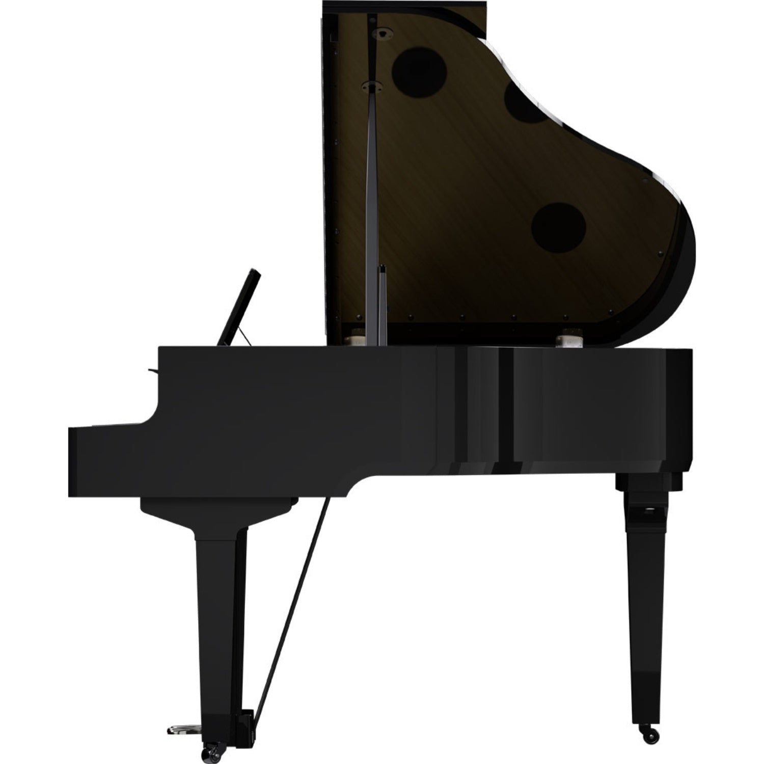 #color_polished-ebony