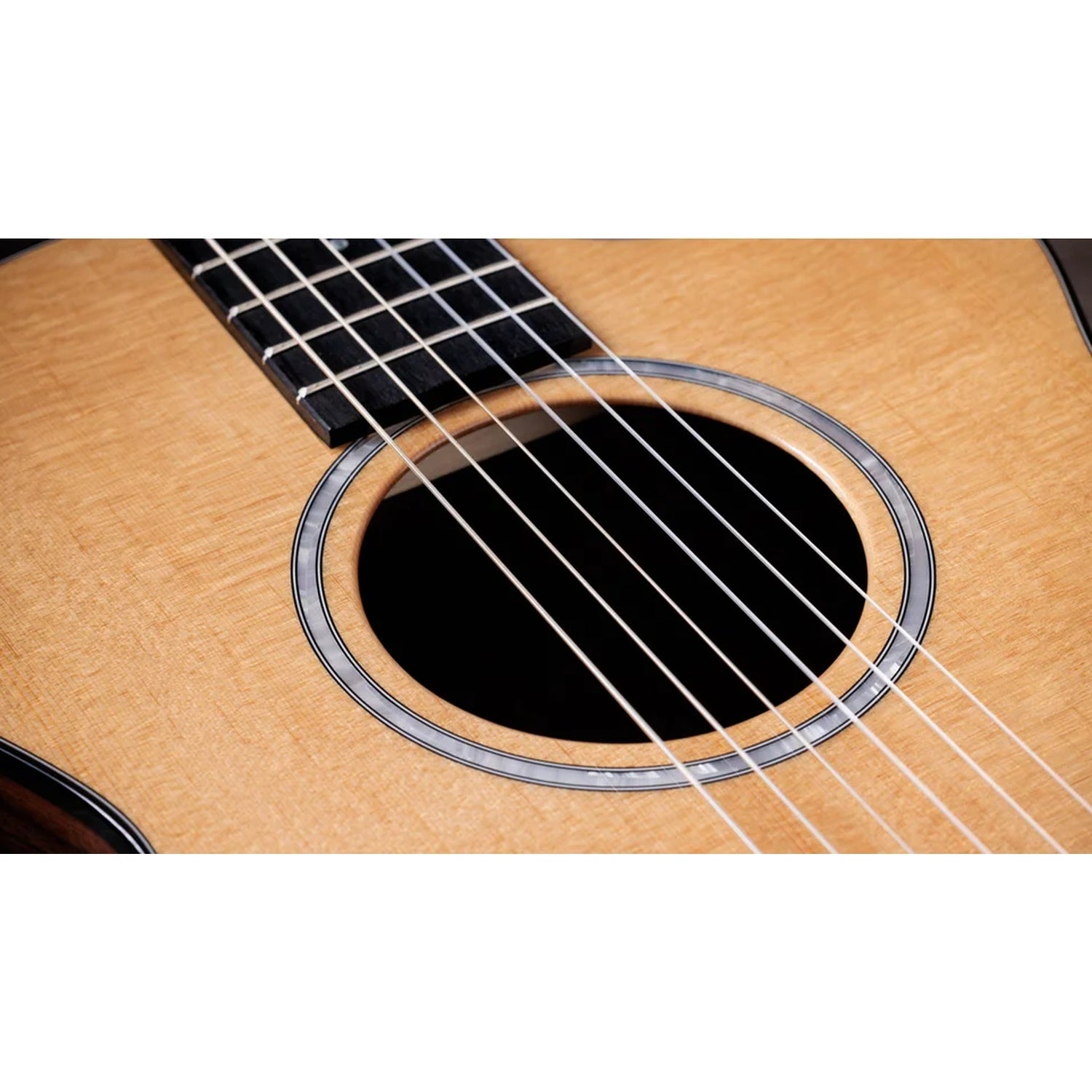 Taylor 212ce-N Plus Grand Concert 6 String Electro Acoustic Guitar