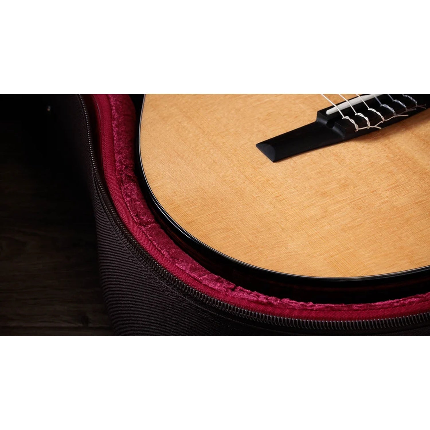 Taylor 212ce-N Plus Grand Concert 6 String Electro Acoustic Guitar