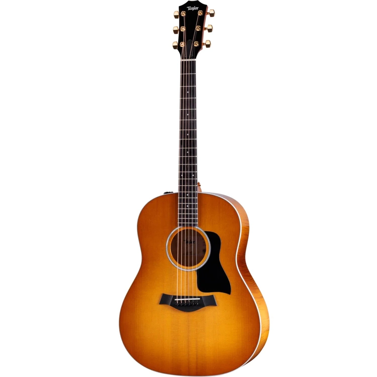 Taylor 217e Plus Special Edition 6 String Electro Acoustic Guitar