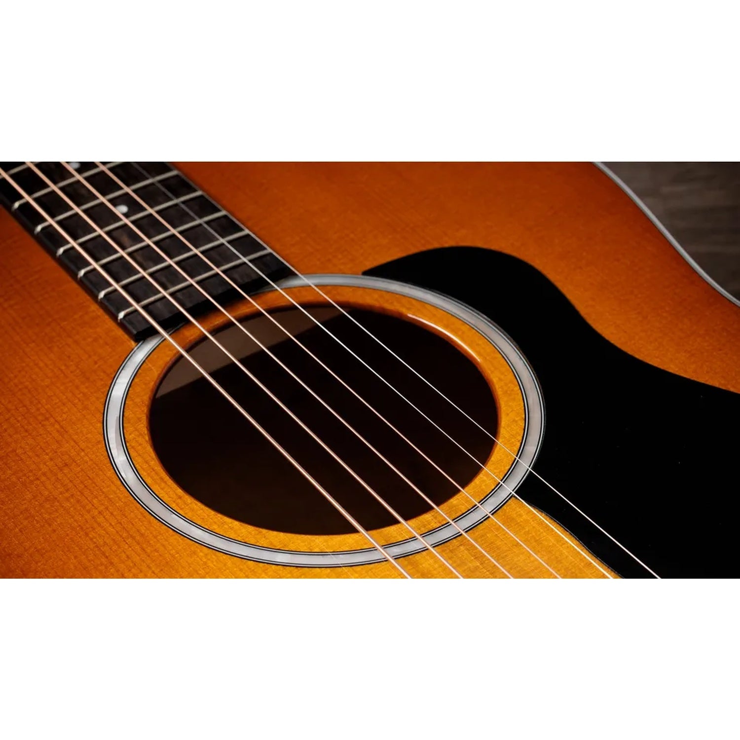 Taylor 217e Plus Special Edition 6 String Electro Acoustic Guitar