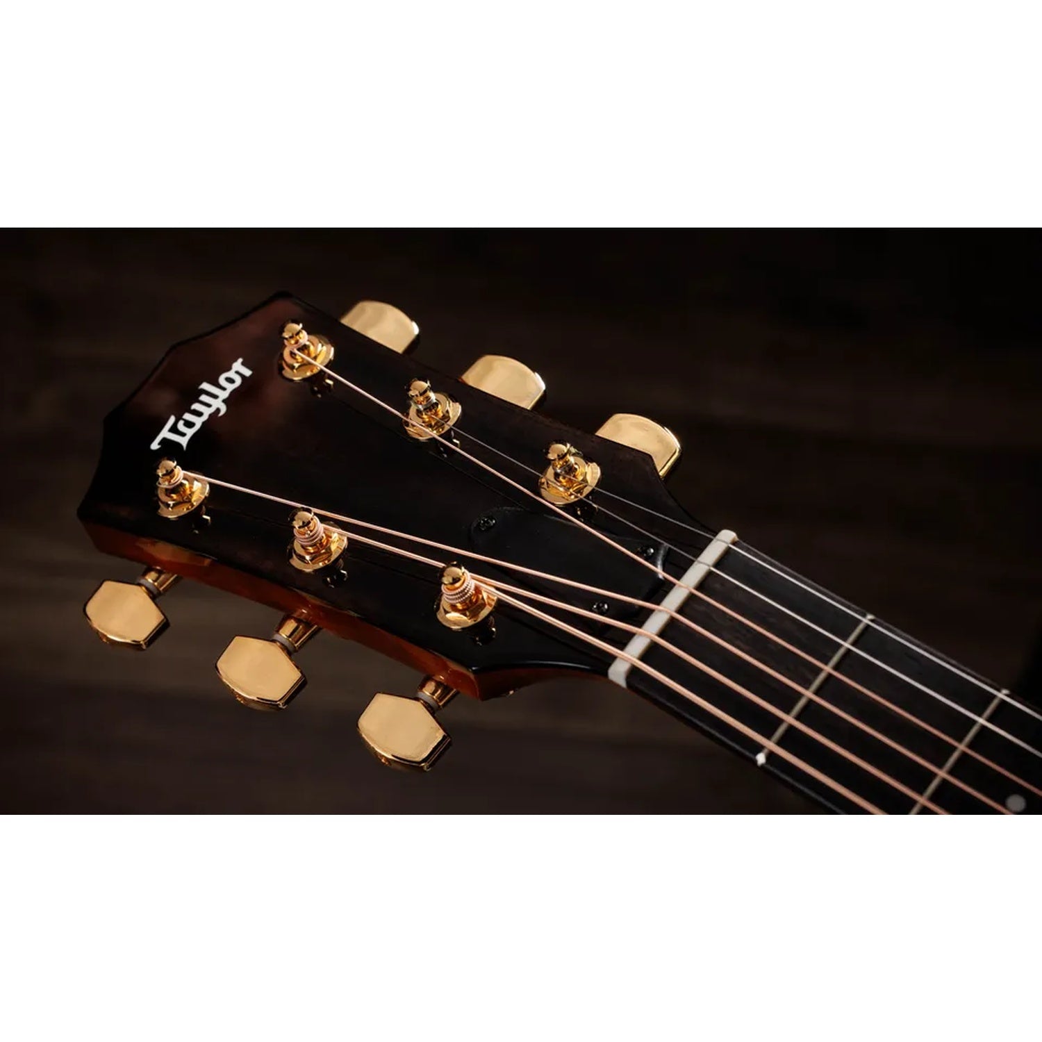 Taylor 217e Plus Special Edition 6 String Electro Acoustic Guitar