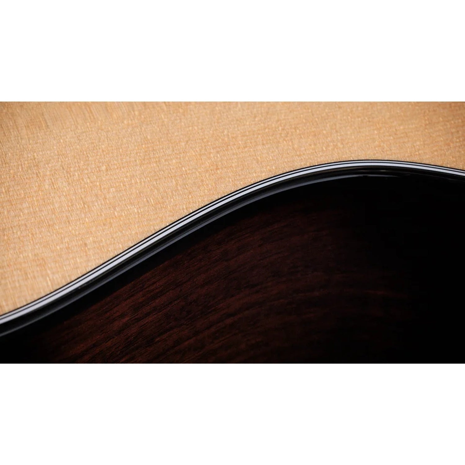 Taylor 414ce Grand Auditorium Next Generation 6 String Electro Acoustic Guitar