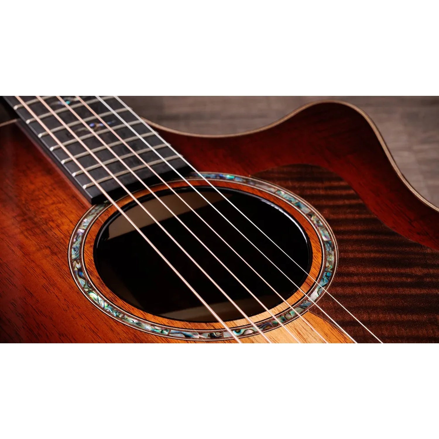 Taylor K24ce Next Generation Grand Auditorium 6 String Electro Acoustic Guitar