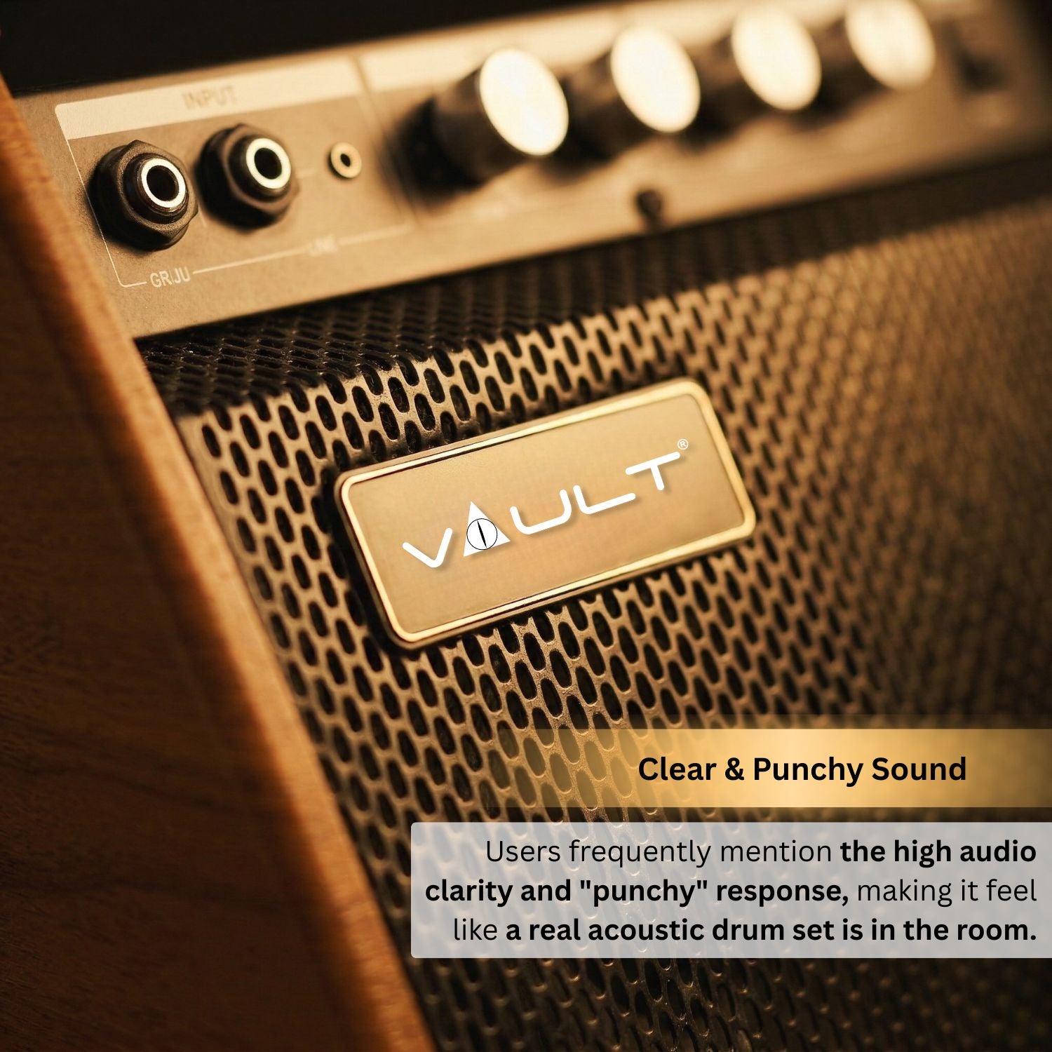 Vault DM50 Drum Monitor