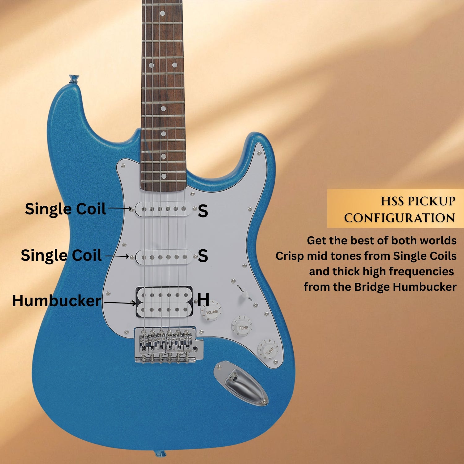 #color_metallic-blue,fretboard_indian-laurel