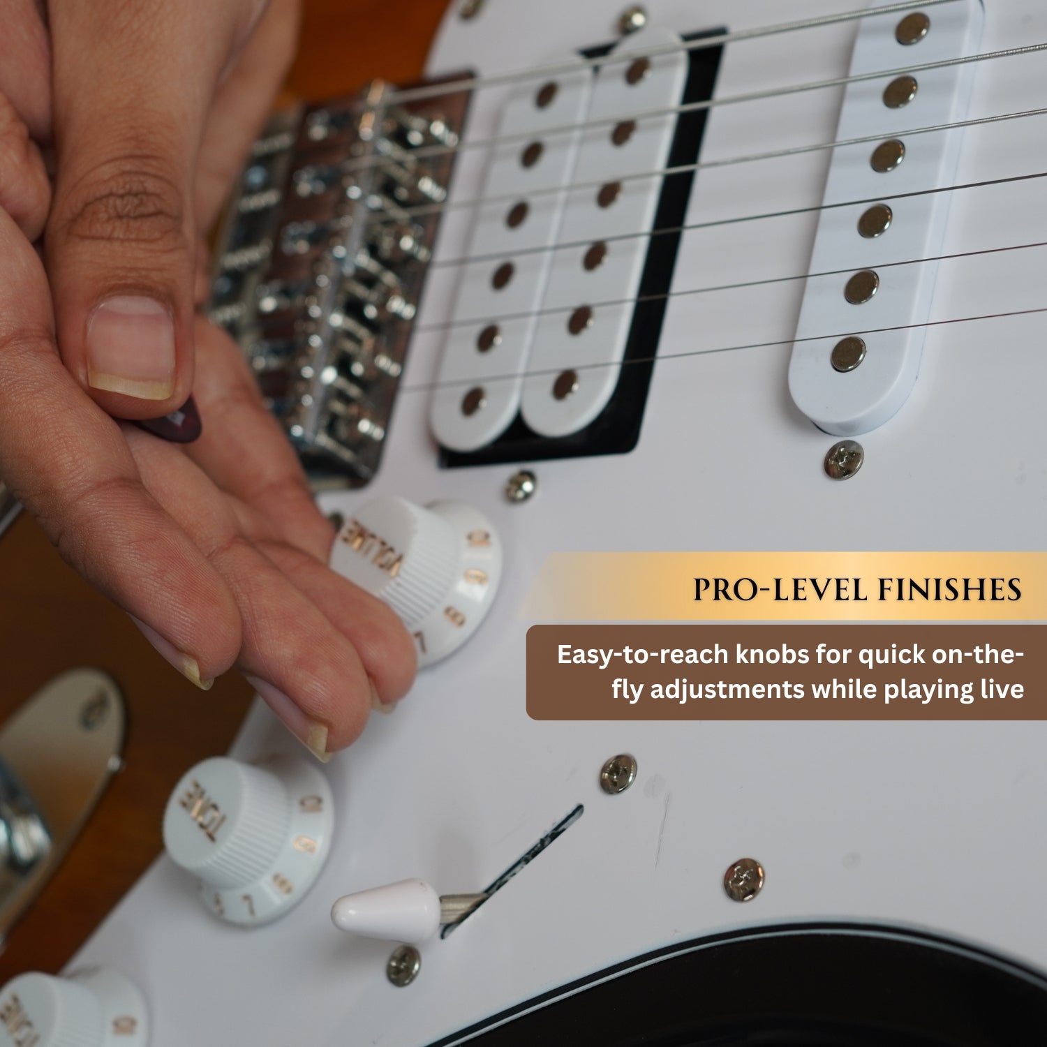 #color_sunburst,fretboard_indian-laurel