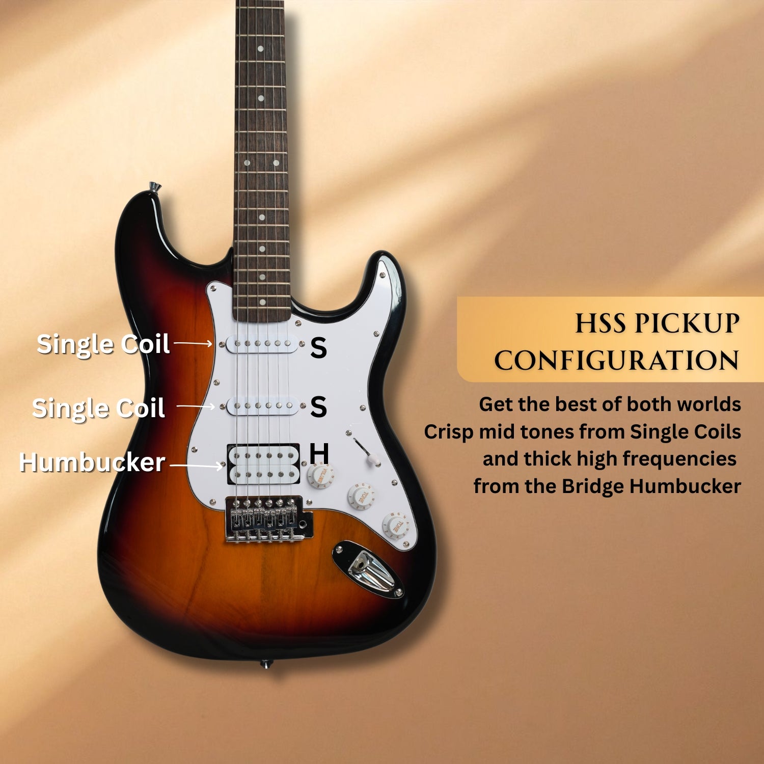 #color_sunburst,fretboard_indian-laurel