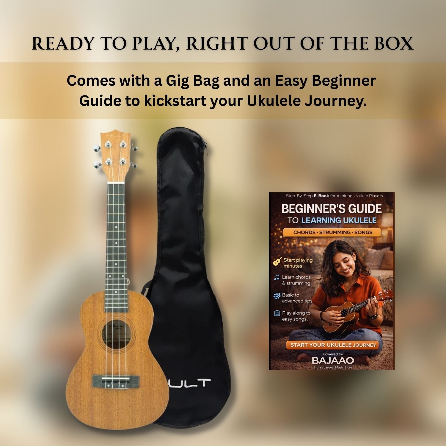 Vault UK-100C 24 inch Arched Back Concert Ukulele With Gig Bag