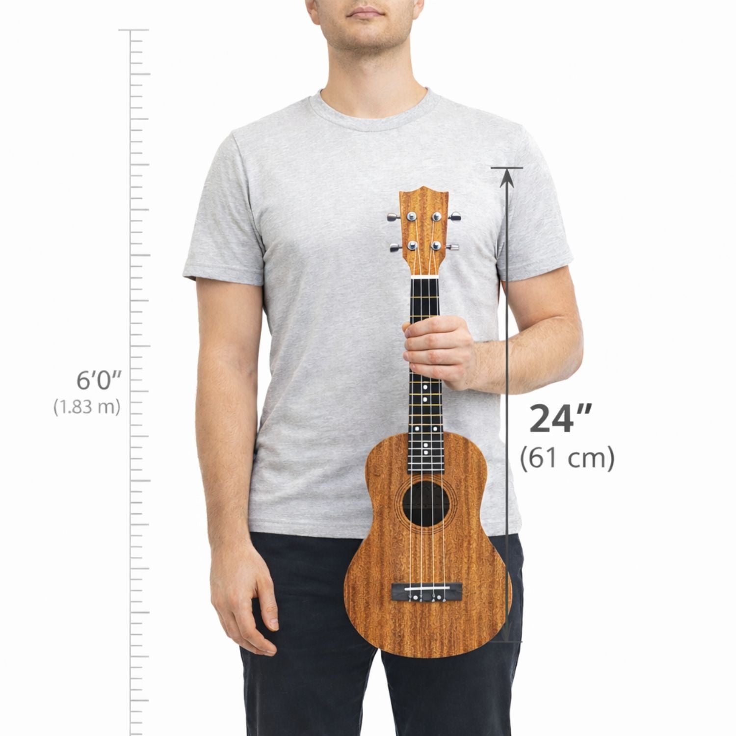 Vault UK-100C 24 inch Arched Back Concert Ukulele With Gig Bag