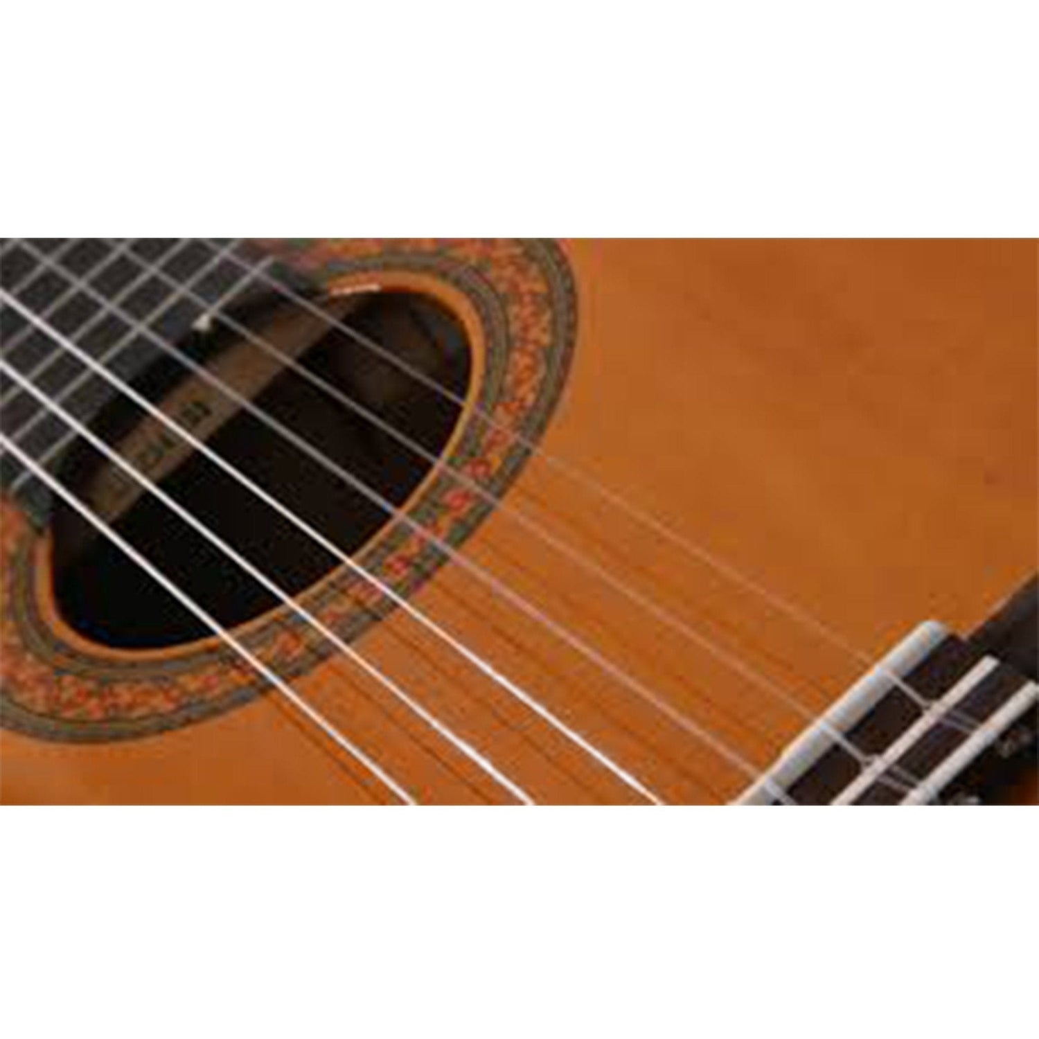Yamaha C40 6 String Classical Guitar