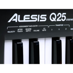 Alesis Midi Keyboards Alesis Q25 25-Key Keyboard MIDI Controller Keyboard