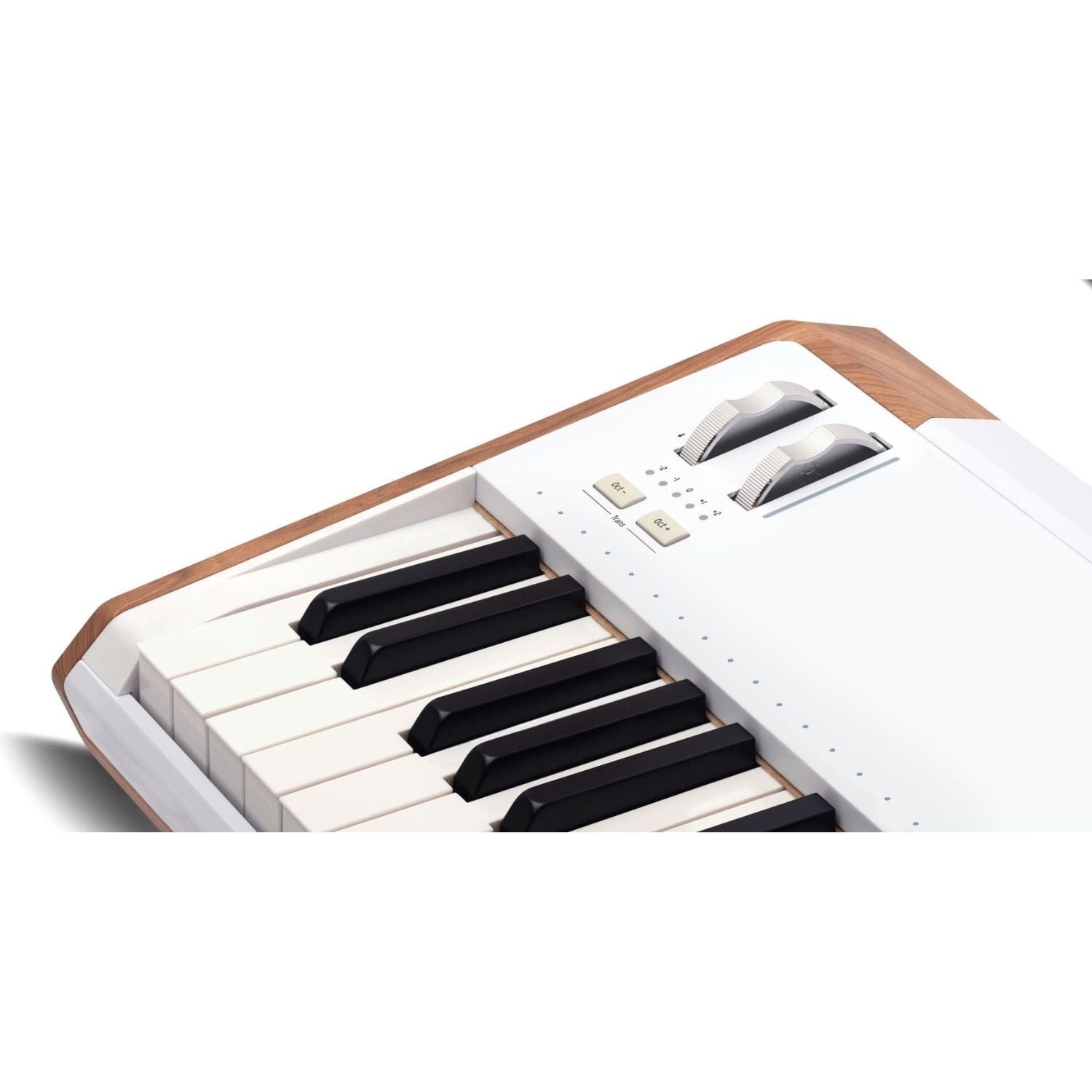 Arturia Synthesizers Arturia AstroLab 61-Key Avant-Garde Stage Keyboard Synthesizer, plus receive V Collection X absolutely free