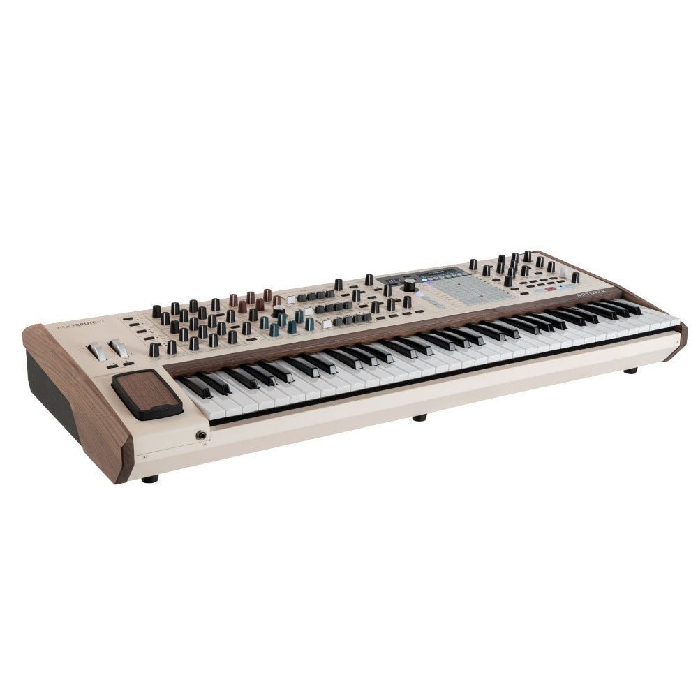 Arturia Synthesizers Arturia PolyBrute 12 Polyphonic Analog Synthesizer