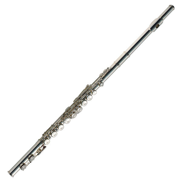 ashton flutes ashton fl10 flute
