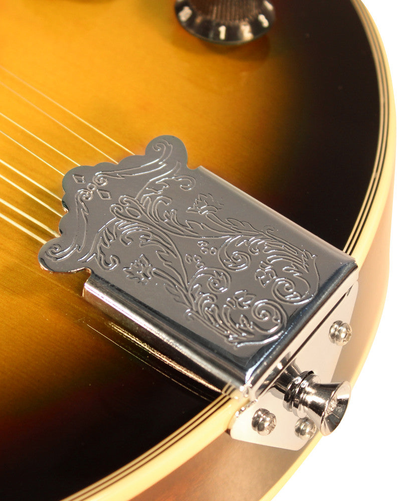 ashton mandolins ashton mandolin mde 200