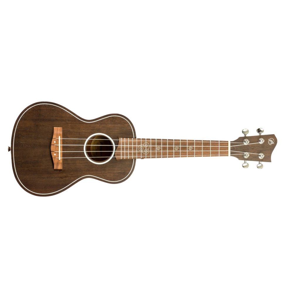 bamboo concert ukuleles bamboo special edition series elements line concert ukulele with gig bag