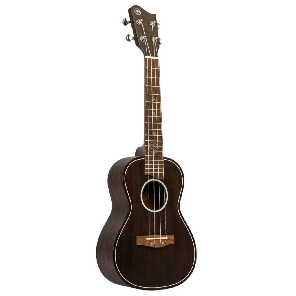 bamboo concert ukuleles bamboo special edition series elements line concert ukulele with gig bag
