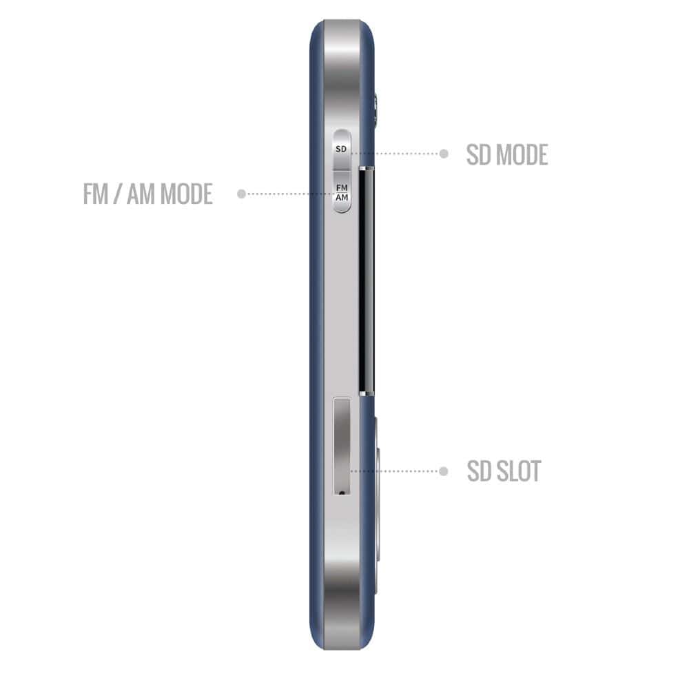 carvaan portable music players saregama carvaan go 2.0- portable audio player with 3000 pre-loaded retro hindi songs #color_blooming-blue