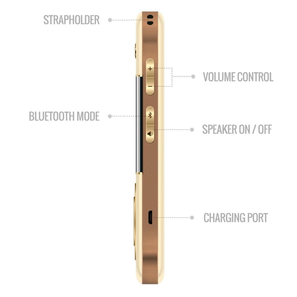 carvaan portable music players saregama carvaan go gold portable audio player with 3000 pre-loaded retro hindi songs