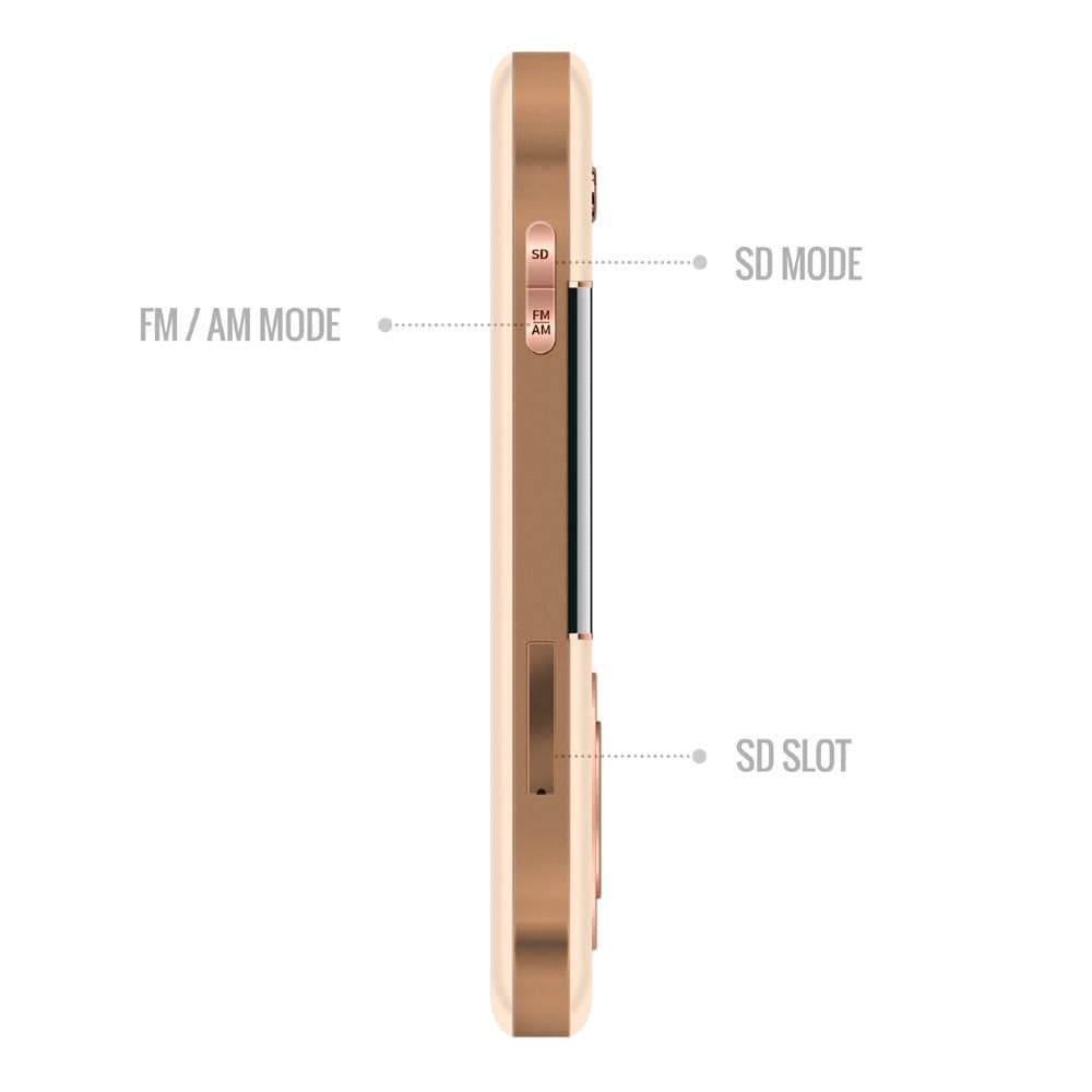 carvaan portable music players saregama carvaan go gold portable audio player with 3000 pre-loaded retro hindi songs #color_rose-gold