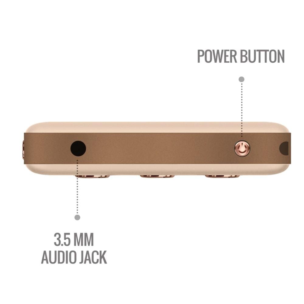 carvaan portable music players saregama carvaan go gold portable audio player with 3000 pre-loaded retro hindi songs #color_rose-gold