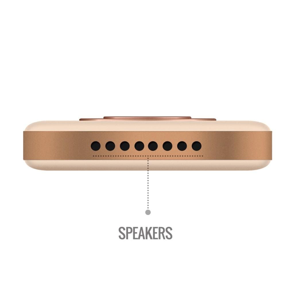 carvaan portable music players saregama carvaan go gold portable audio player with 3000 pre-loaded retro hindi songs #color_rose-gold