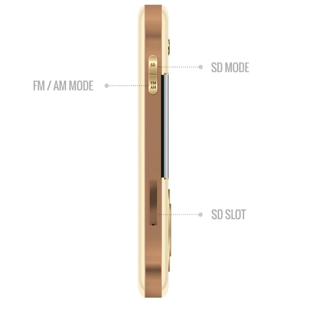 carvaan portable music players saregama carvaan go gold portable audio player with 3000 pre-loaded retro hindi songs