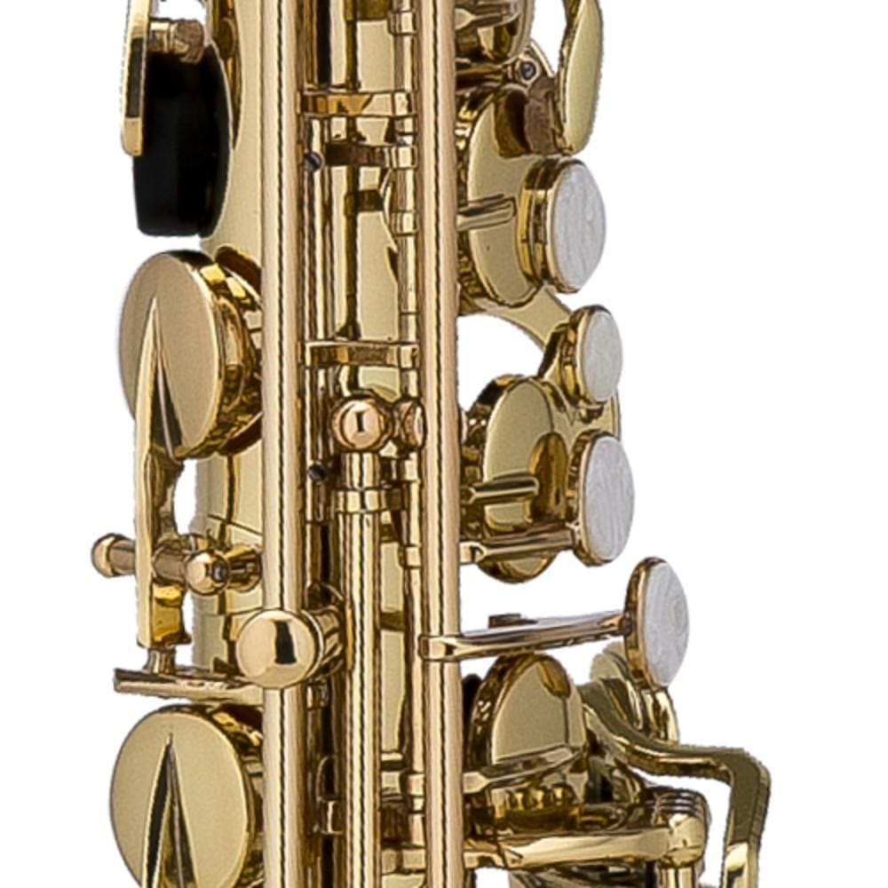 chateau saxophones chateau alto saxophone cas-21 cvl