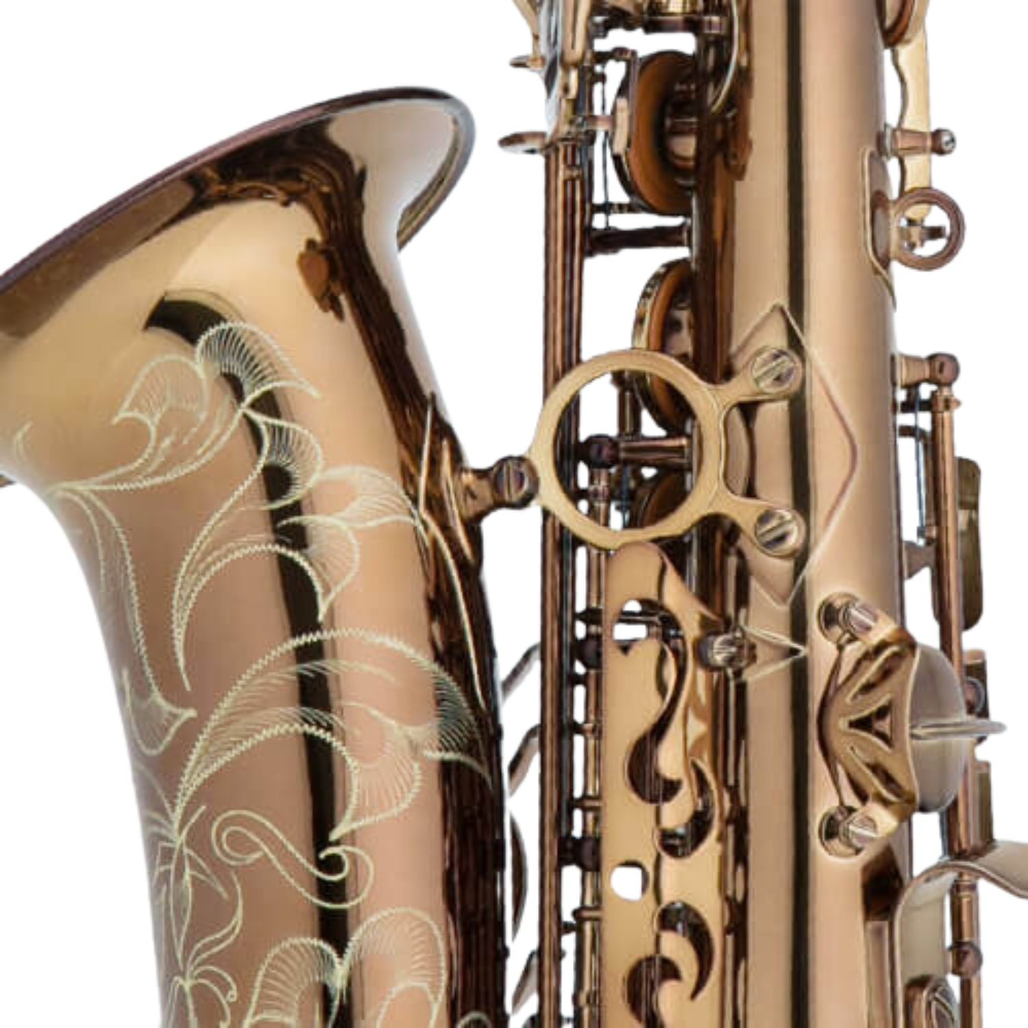 Chateau Saxophones Cognac Chateau Chambord Series CAS-50 Alto Saxophone - Cognac