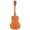 Cordoba Concert Ukuleles Cordoba 15CM 4-String Concert Ukulele